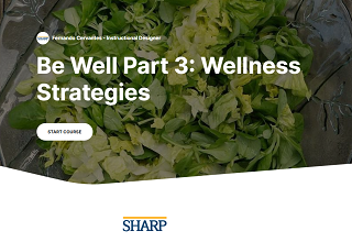 Be Well Part 3: Wellness Strategies - Online Banner
